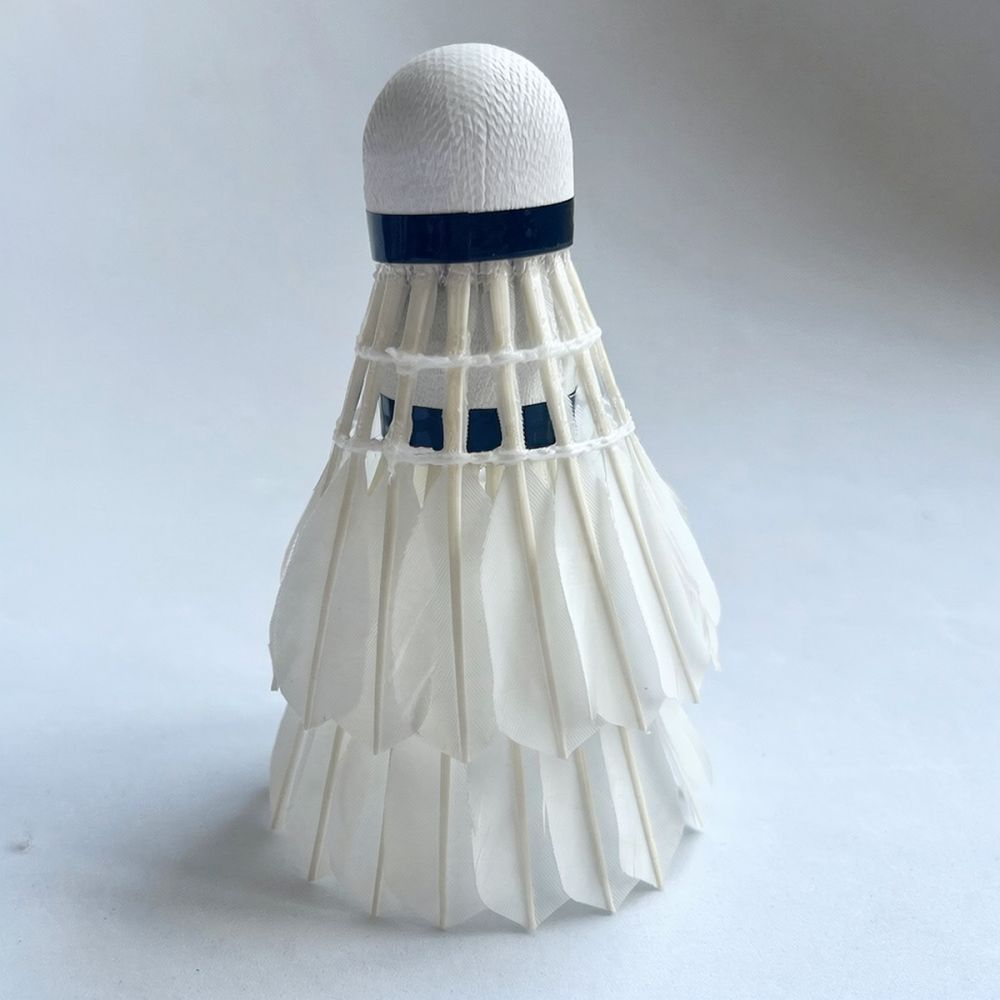 Volano professionale in piume  - Feather Shuttlecock recensione e prezzo