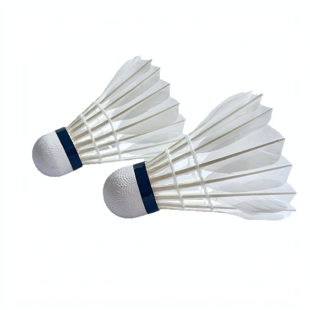 Volano professionale in piume  - Feather Shuttlecock recensione e prezzo