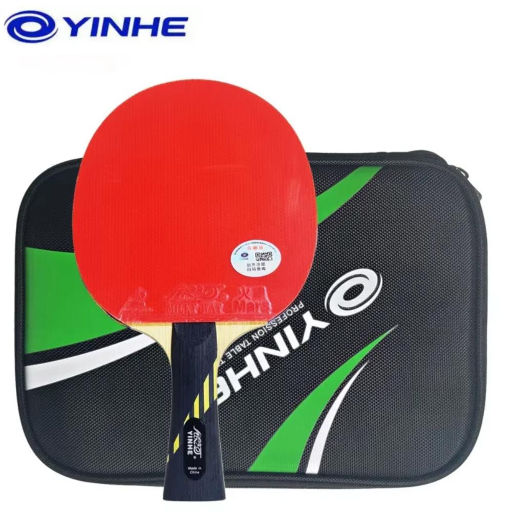 Racchetta Professionale da Pin - Badminton Racket Carbon recensione e prezzo